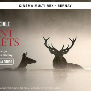 Cinéma : séance spéciale « Le chant des forêts »