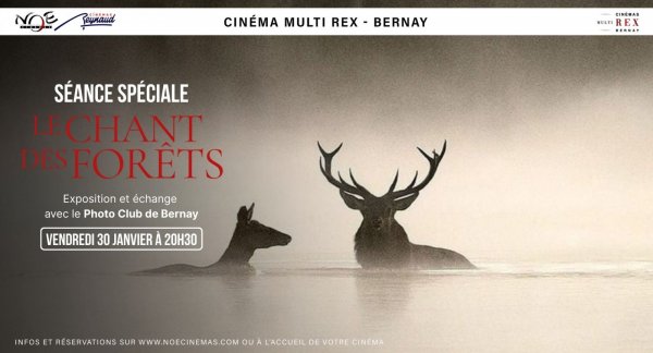 Cinéma : séance spéciale « Le chant des forêts »