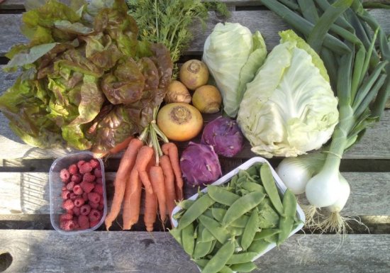 Ferme de la Mare des Rufaux