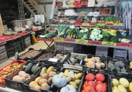 Ferme de la Mare des Rufaux