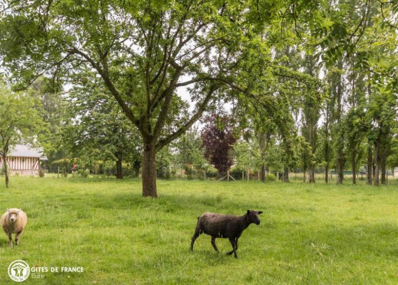 Gîte Les longs champs