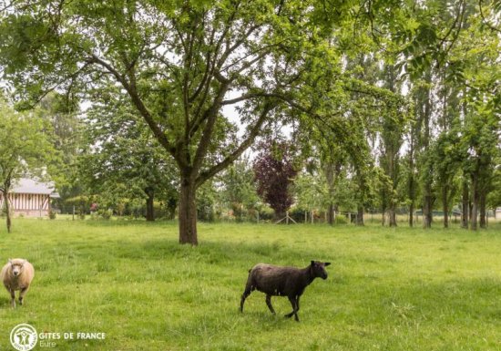 Gîte Les longs champs