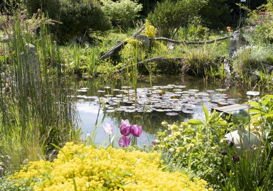 ©Eure Tranquille L’Eure tranquille – jardin d’artiste