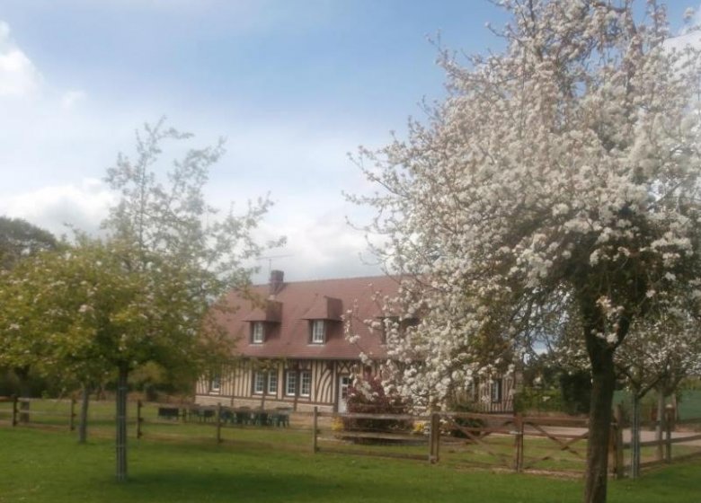 Gîte La croix blanche