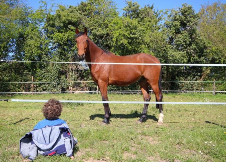 Gîte L&rsquo;élev&rsquo;haras