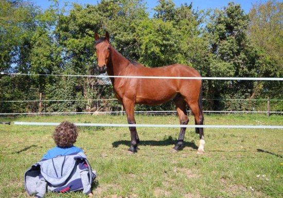 Gîte L&rsquo;élev&rsquo;haras