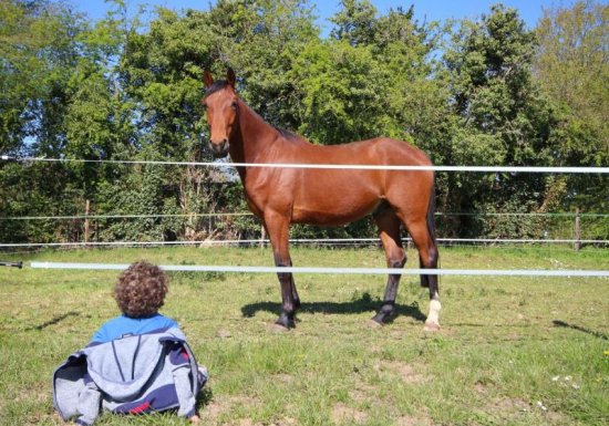 Gîte L&rsquo;élev&rsquo;haras