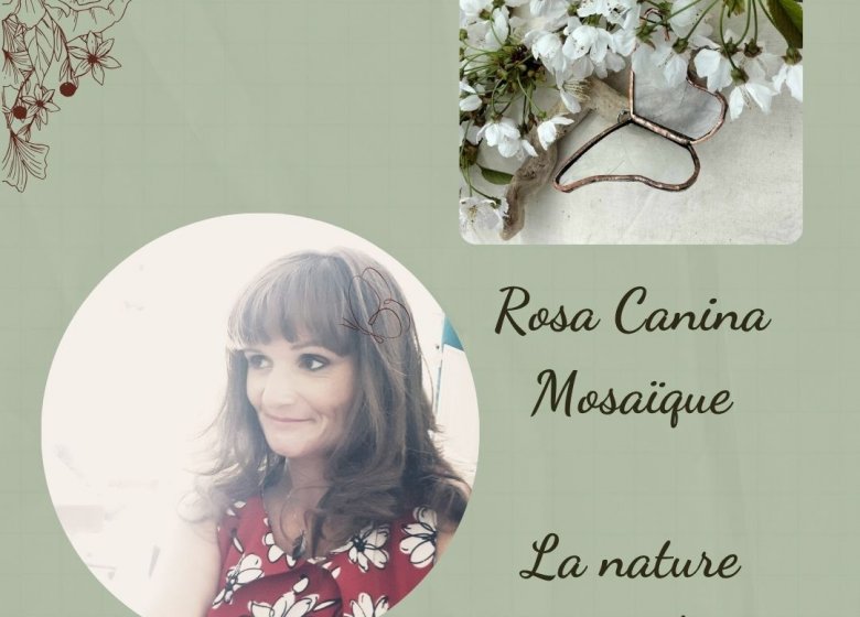Rosa Canina Mosaïque