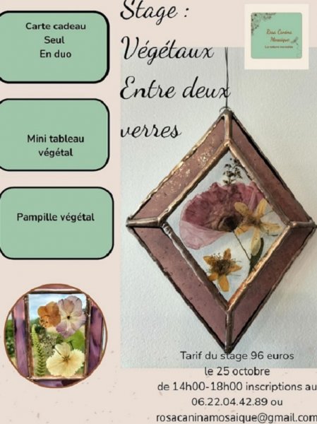 Atelier : Végétaux entre 2 verres
