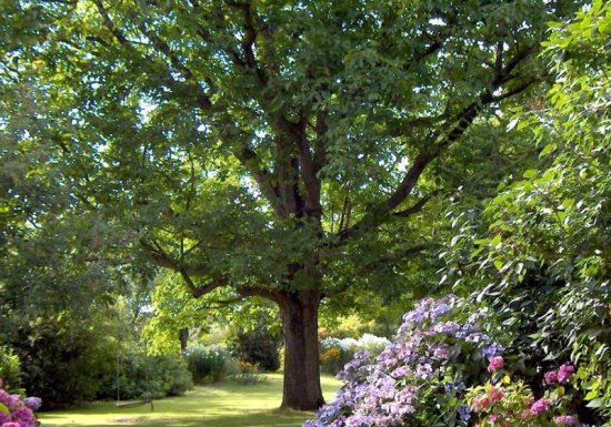 Gîte Le Pré-Boulay
