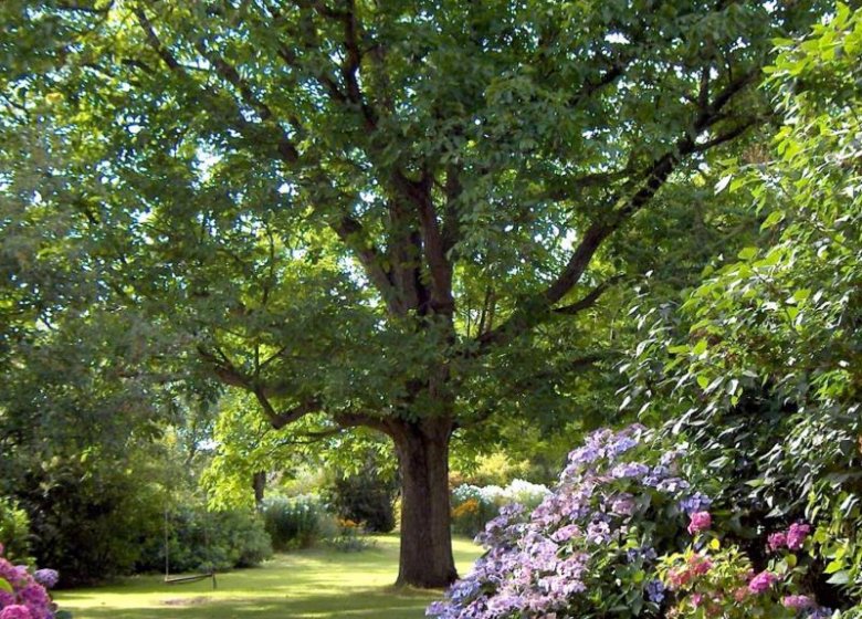 Gîte Le Pré-Boulay