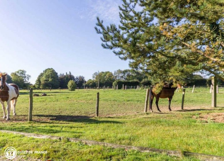 Gîte Le relais du Chaussé