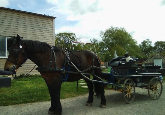La ferme de Saint-Cyr
