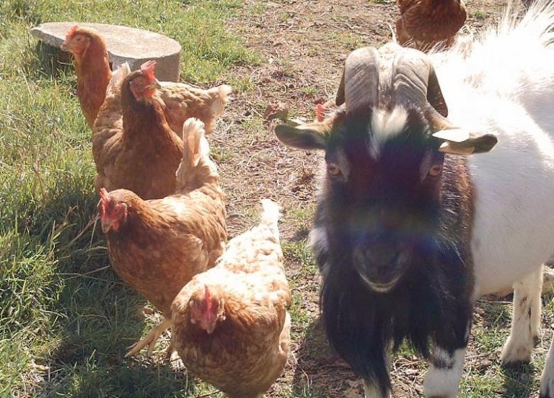 Chambre d&rsquo;hôtes Chambres Dubuisson de Bray