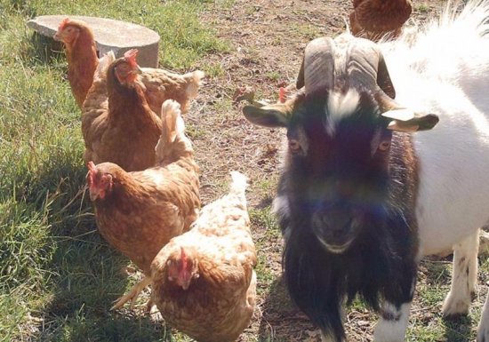 Chambre d&rsquo;hôtes Chambres Dubuisson de Bray