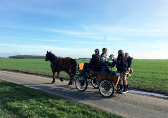 Chambre d’hôtes LE SAINT AUBIN