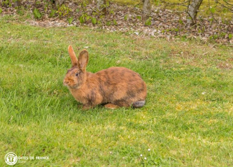 Gîte du grand chêne