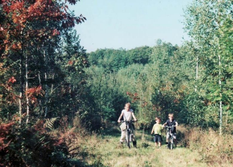 Gîte AUTREBOIS