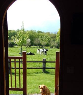 Gîte La roulotte du verger
