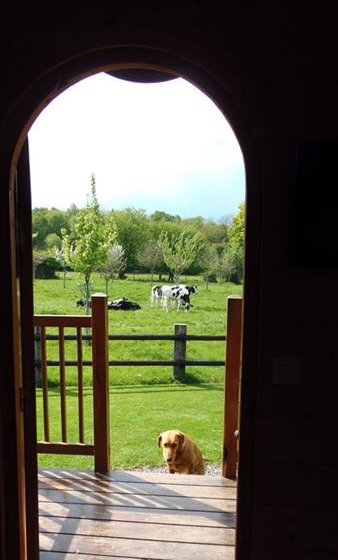 Gîte La roulotte du verger