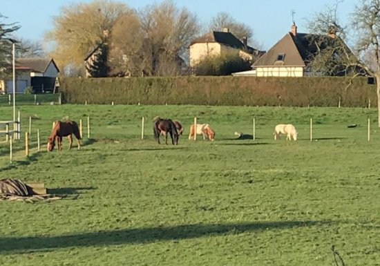 ST OUEN DU TILLEUL Le Gîte de la Forêt