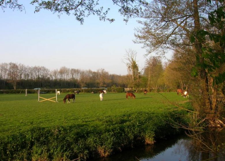 Gîte de groupe Les maisons des Chérottes