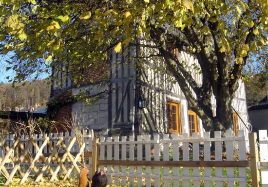 Gîte LA PATTE DE LOUP