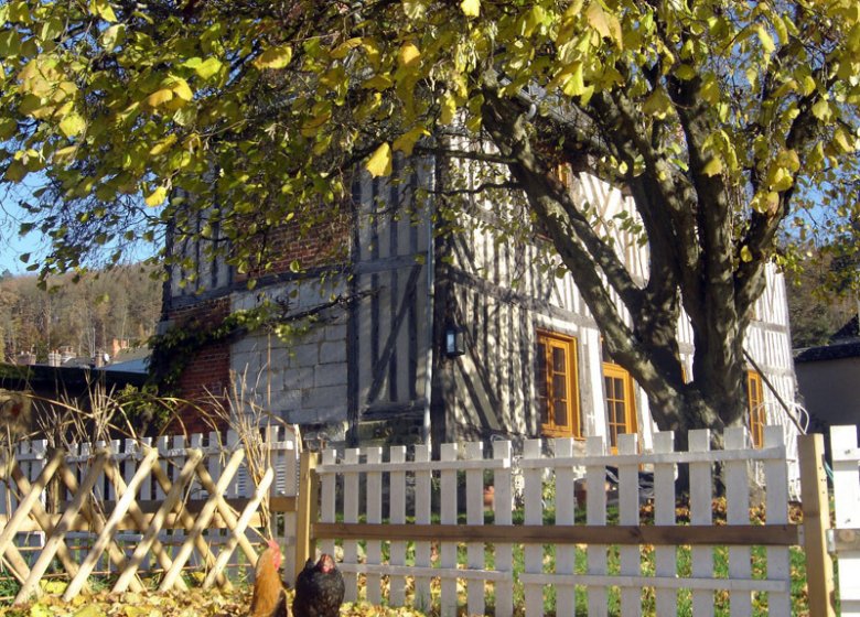 Gîte LA PATTE DE LOUP