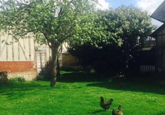 Gîte LA PATTE DE LOUP