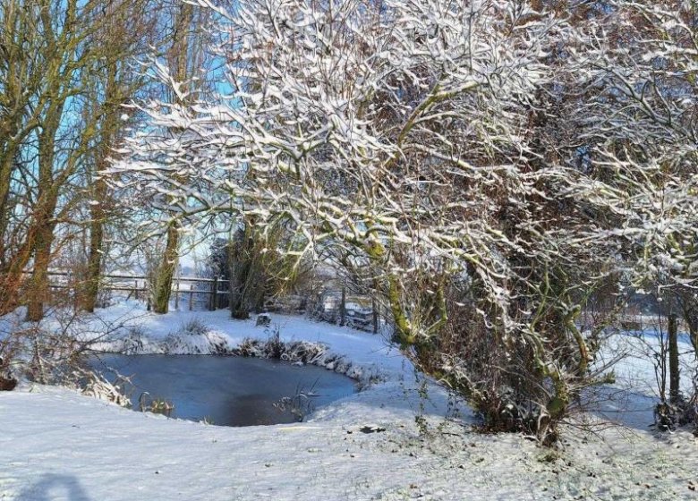 Gîte Le gîte des Marettes