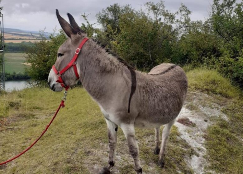 Gîte Le gîte des Marettes