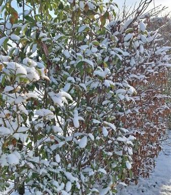 Gîte Le gîte des Marettes