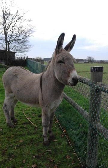 Gîte Le gîte des Marettes