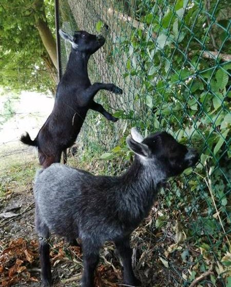 Gîte Le gîte des Marettes