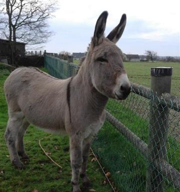 Gîte Le gîte des Marettes