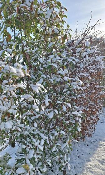 Gîte Le gîte des Marettes