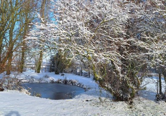 Gîte Le gîte des Marettes
