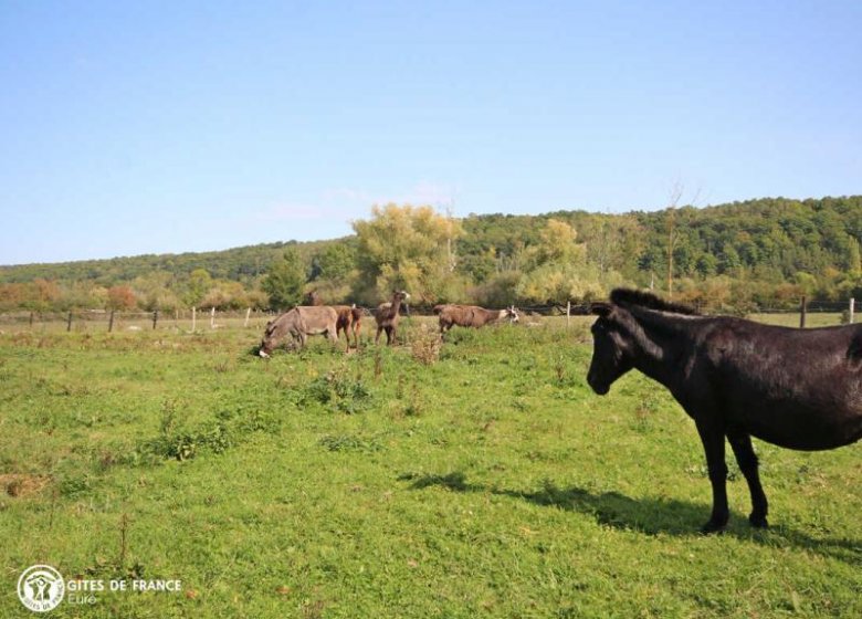 Gîte OURASI-DOMAINE de la PETITE RIVIERE