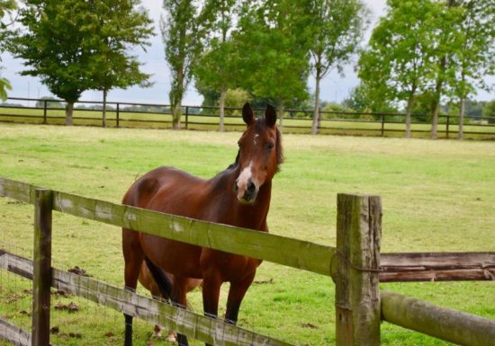 TROUVILLE LA HAULE Gîte du Val Anger