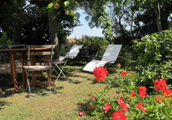 Gîte LE GITE DU PETIT COQ