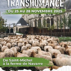 Transhumance à Evreux
