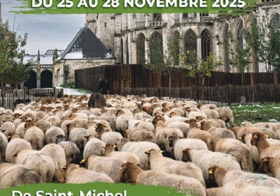 Transhumance à Evreux