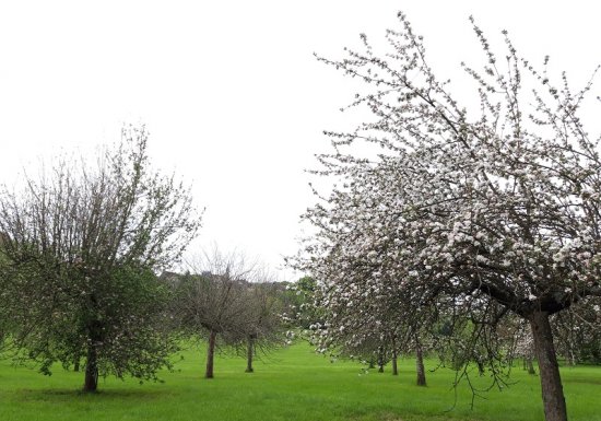 Sur la route de Compostelle