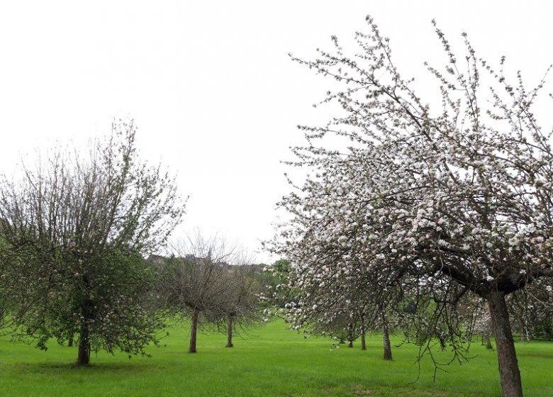 Sur la route de Compostelle