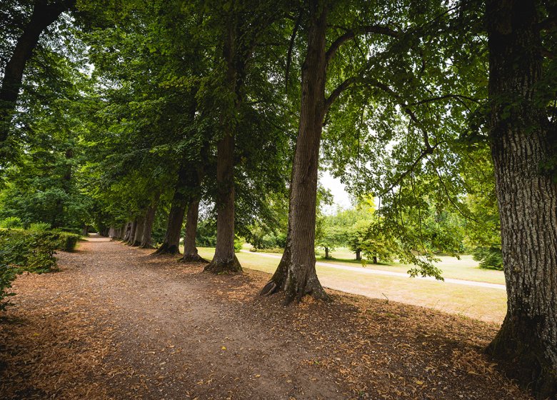 Parc du château de Bizy