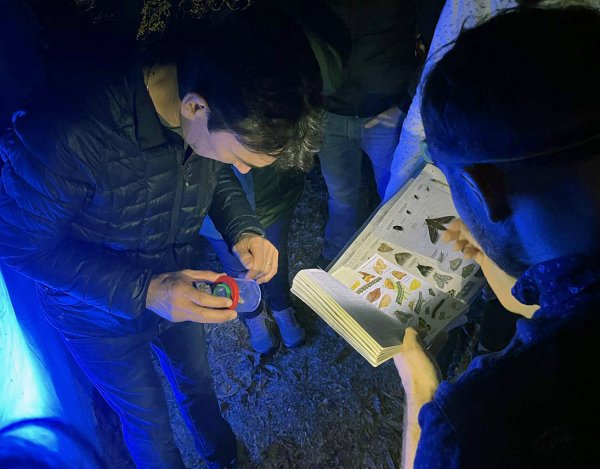 La nuit des papillons