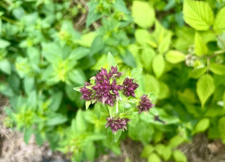 Aire de camping-cars du Vexin Normand