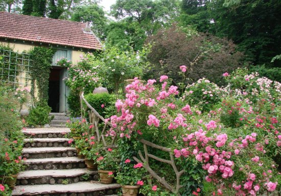Restaurant Ancien Hôtel Baudy