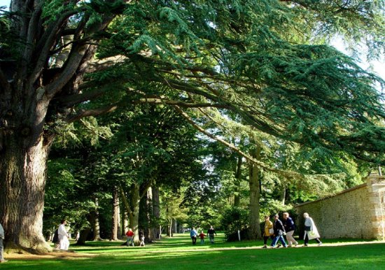 Arboretum d’Harcourt