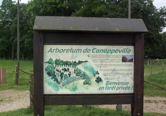 Arboretum de Canappeville